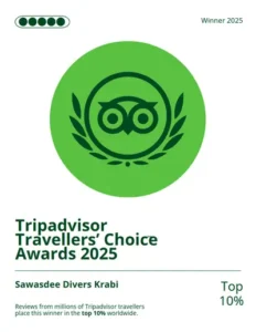 Tripadviosr Travellers Choice Award