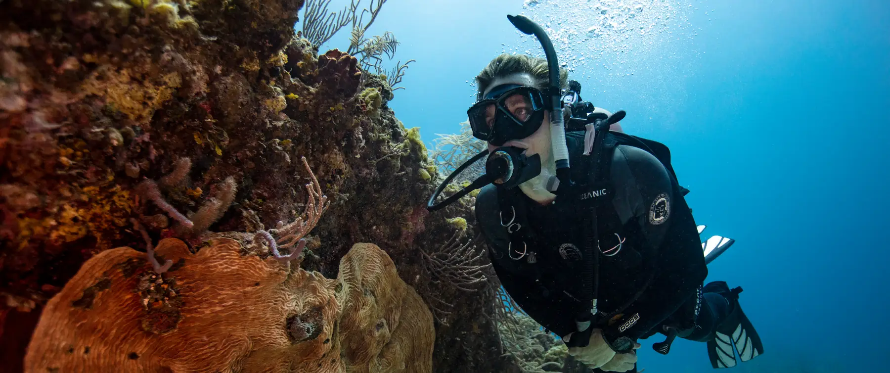 A male scuba diver swims in clear water past an outcrop of various corals and sponges