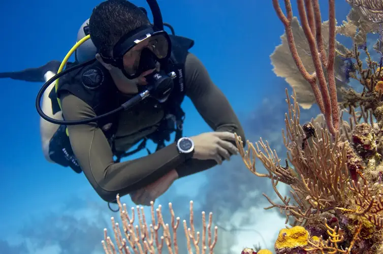 A scuba diver looking at  colorful tropical reef soft corals and sponges