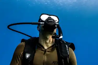 A SCUBA diver looks up to the surface while ascending in the water